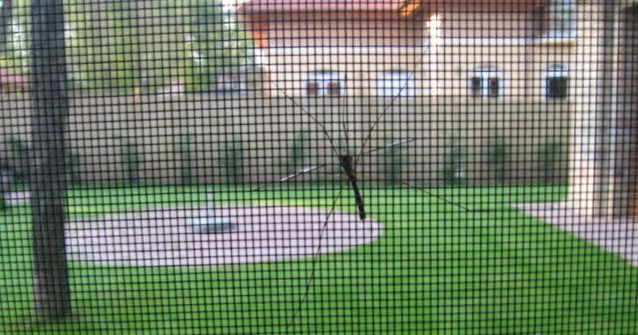 Komarnik na katerem je komar.