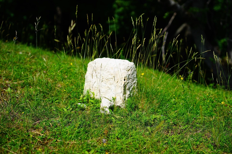 Mejni kamen sredi travnika