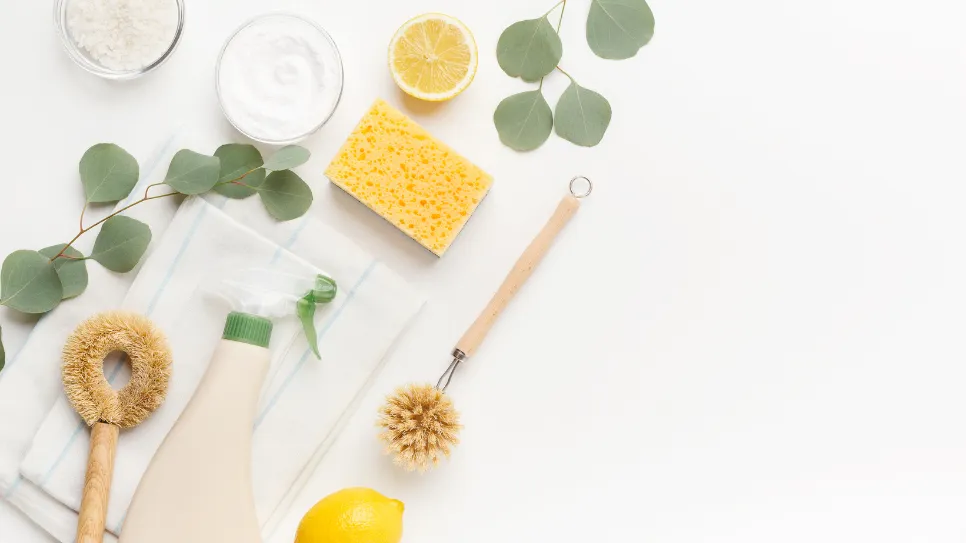 ekološka čistila, limona, sol in pripomočki za čiščenje razporejeni po mizi