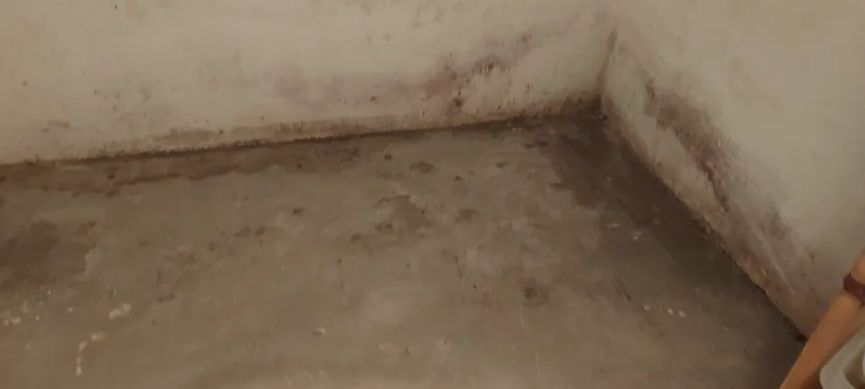 Mold growth and water damage in a basement corner indicating water leakage issues.