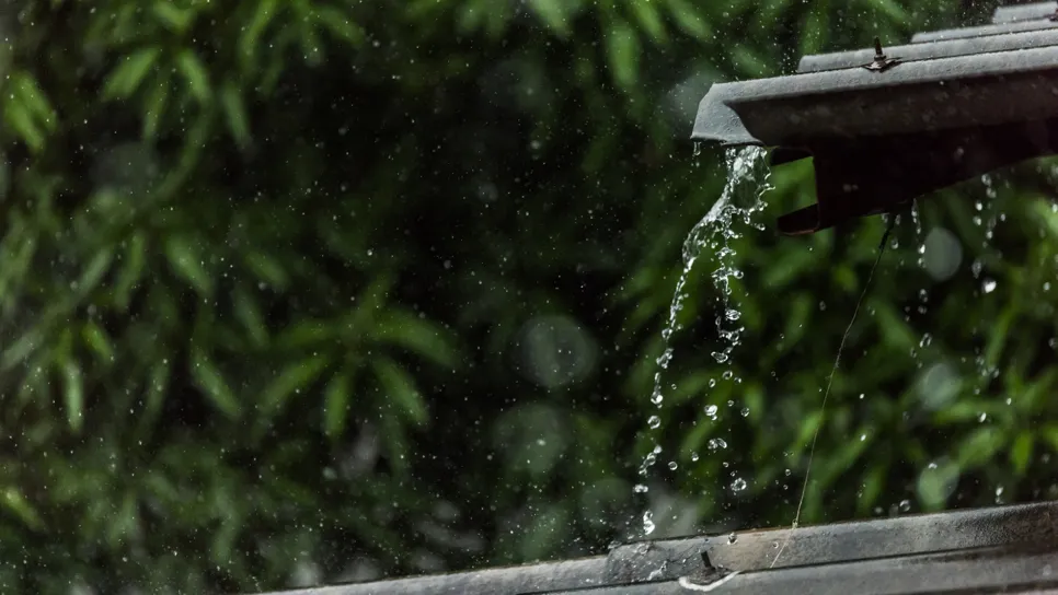 Dež na strehi.