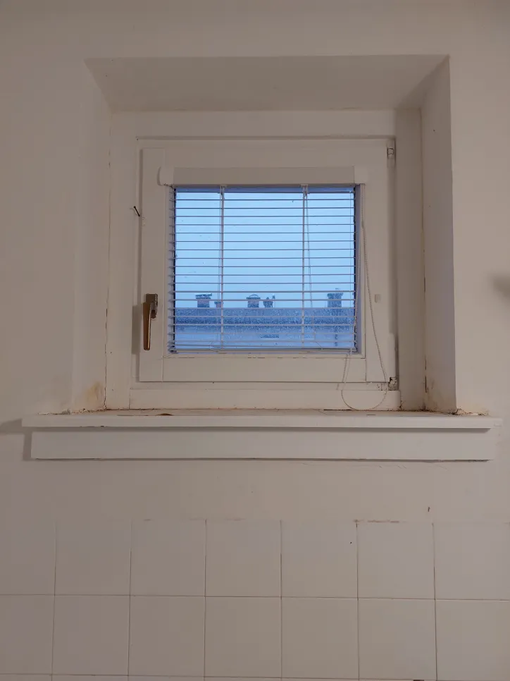 Visible mold growth around a bathroom window frame with condensation on the glass.