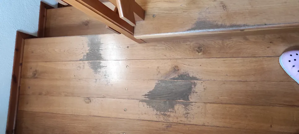 Worn wooden staircase with visible patches of discoloration and surface damage.