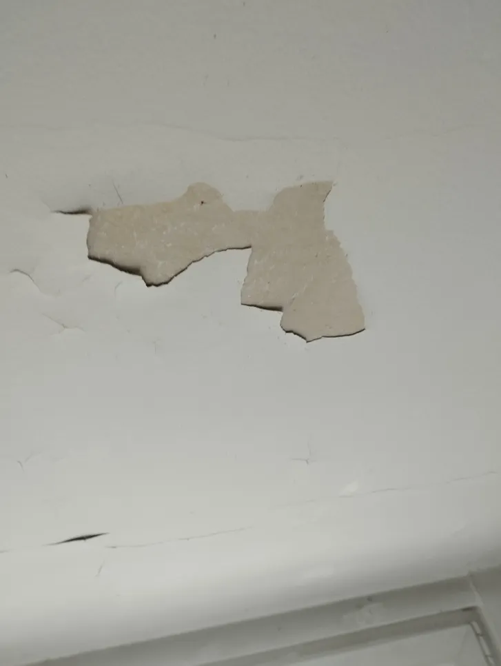 Peeling paint on a white ceiling indicating possible moisture damage.