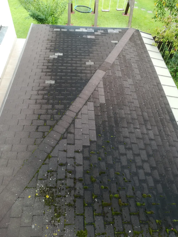 A roof with significant moss growth and discoloration, indicating potential moisture retention issues.