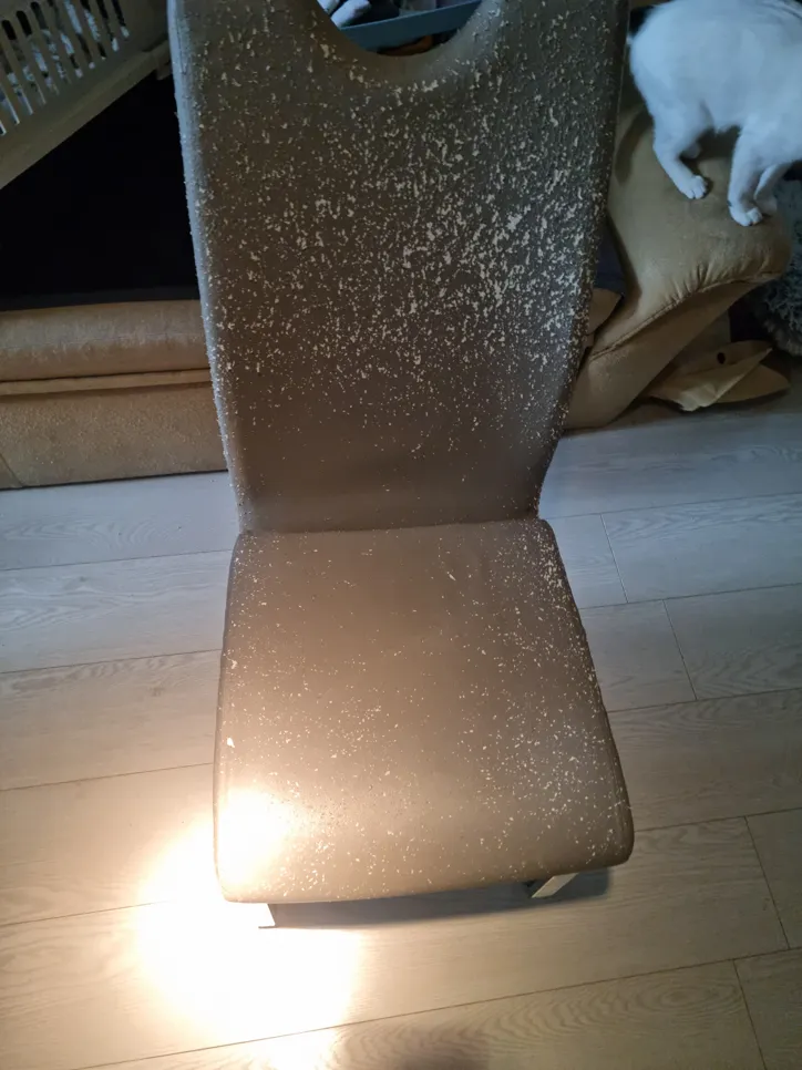 Brown chair with visible white mold spots on the backrest and seat, placed on a wooden floor indoors.