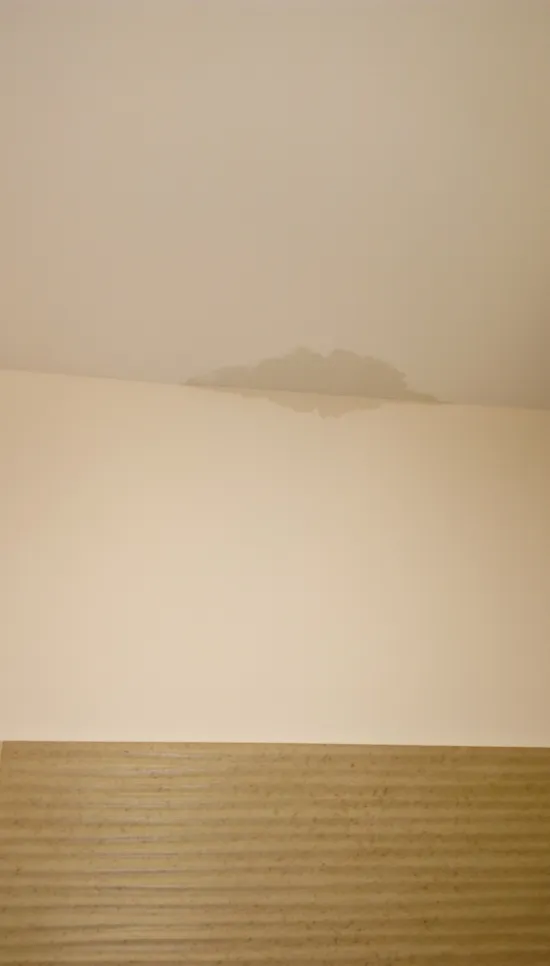 Visible water stain on a white ceiling, suggesting possible leakage or water damage.