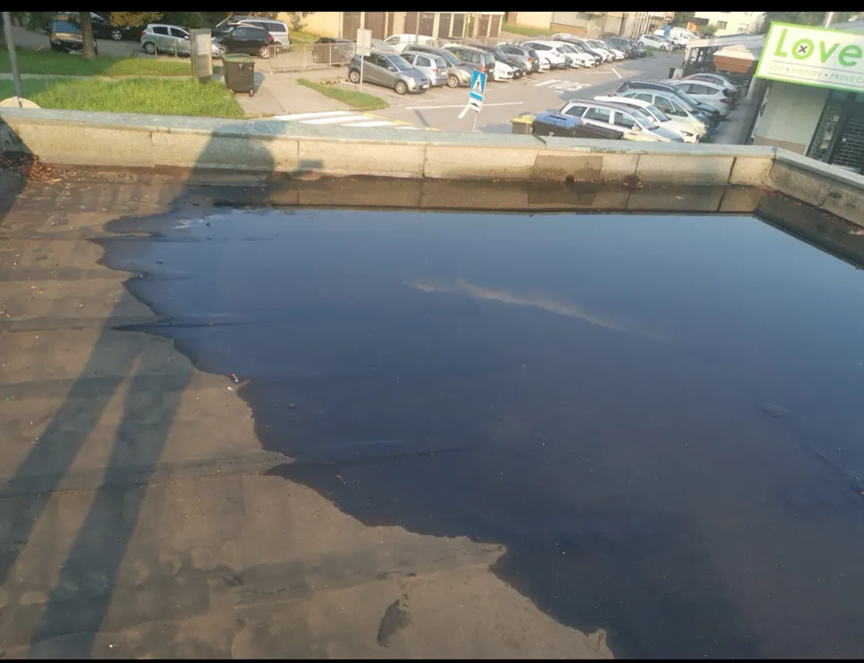 Pooled water on a flat roof surface highlighting potential drainage problems.