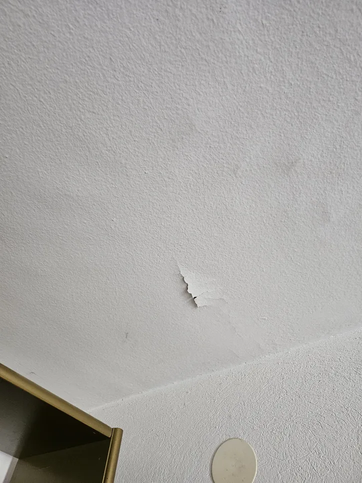 Ceiling with peeling paint indicating possible moisture damage, revealing plaster beneath.