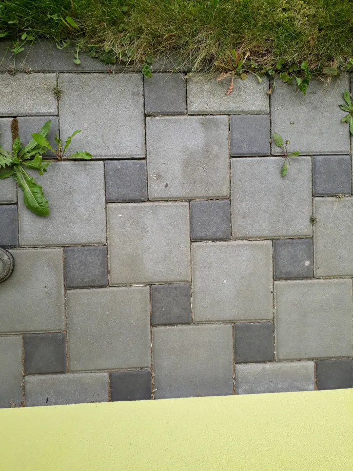Weeds growing between gray and dark gray patio pavers, indicating a need for removal and maintenance.