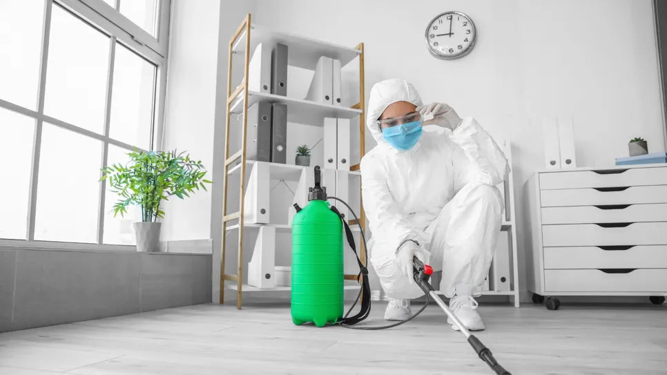 Čistilka dezinficira dnevni prostor