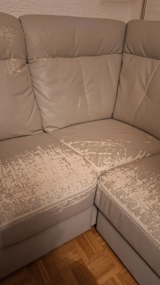Faded and peeling leather sofa in a living room corner, showing signs of significant wear.