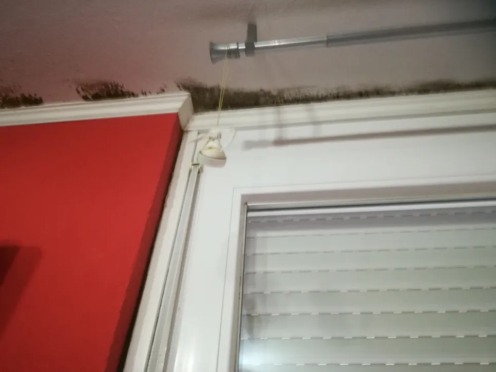 Black mold growth near window on red wall indicates moisture problem.