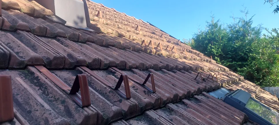 Moss covering a tiled roof, indicating potential moisture retention issues and need for cleaning.