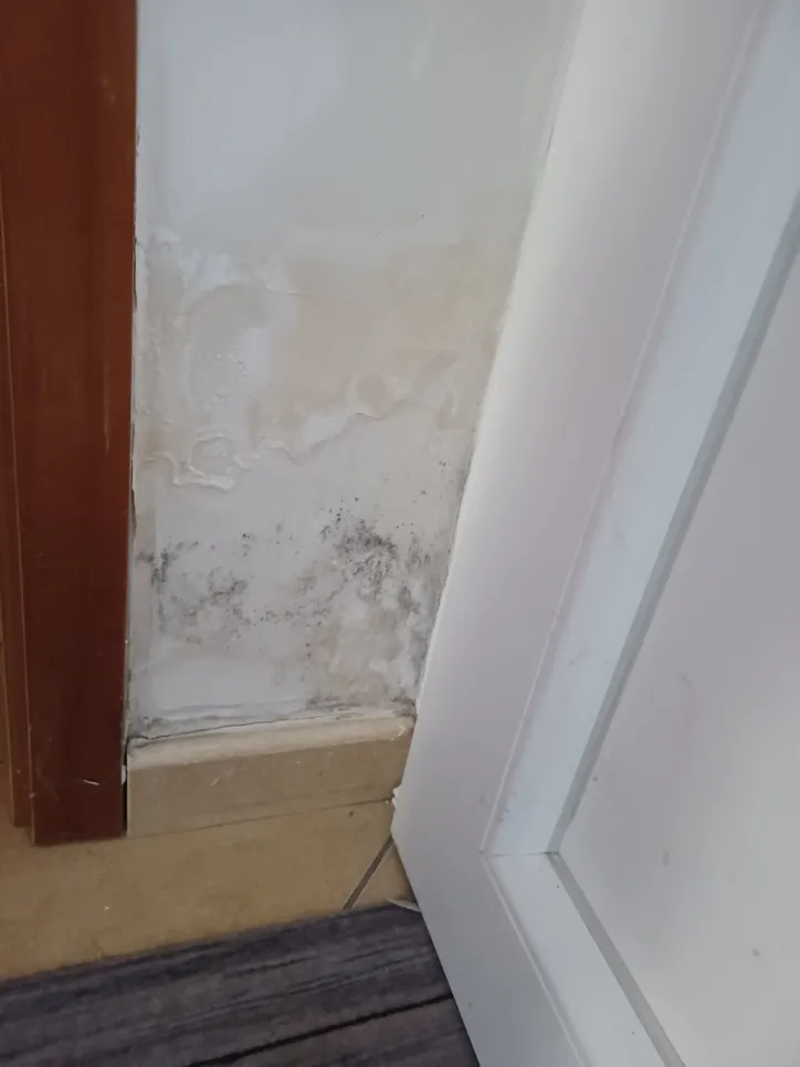 Black mold and moisture damage on a white wall corner near a door frame, indicating water infiltration.