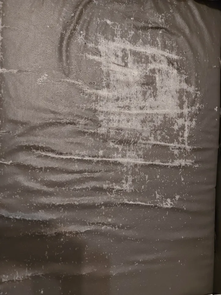 Mold growth spread over a mattress surface with visible white patches, indicating moisture exposure.