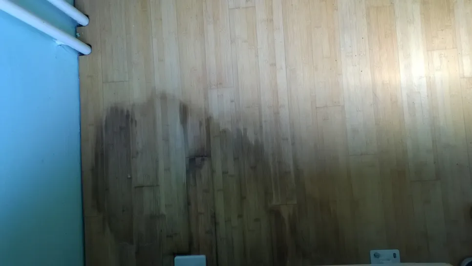 Dark water stains on light wooden flooring indicating possible moisture damage.
