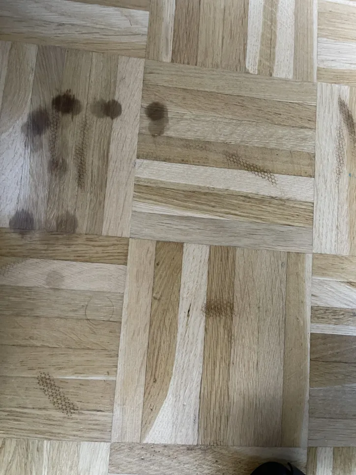 Dark water stains on light wooden parquet flooring, showing discoloration and potential water damage.