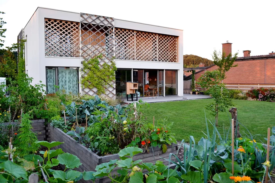 vrt pred moderno hišo (vir:ureditevokolice.si)